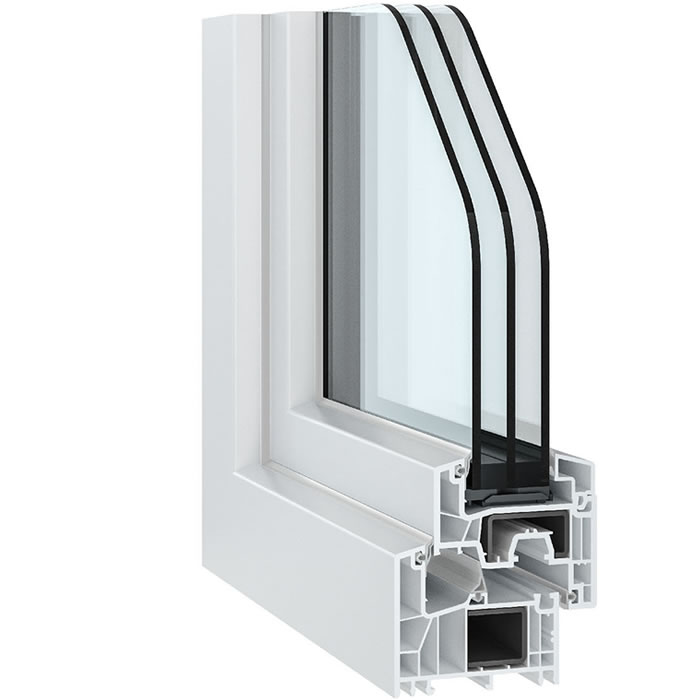 salamander evolution greeenEvolution MD.jpg